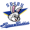 SEIBUプリンスラビッツ